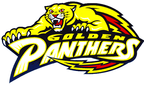 FIU Panthers 1994-2000 Primary Logo iron on transfers for clothing